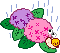アジサイ　イメージ